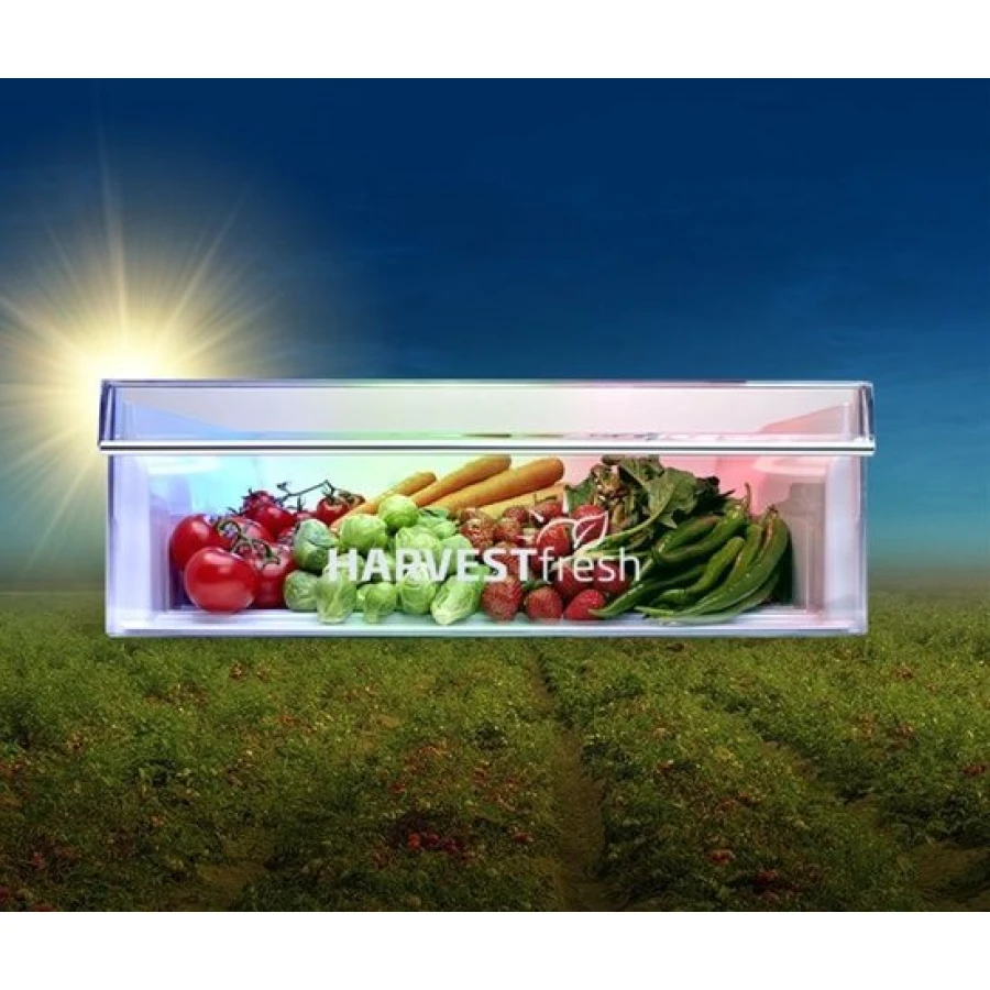 Beko B5RCNE366HXB1 koel-vries combinatie 186 cm hoog-grijs - 5 jaar garantie - Afbeelding 10